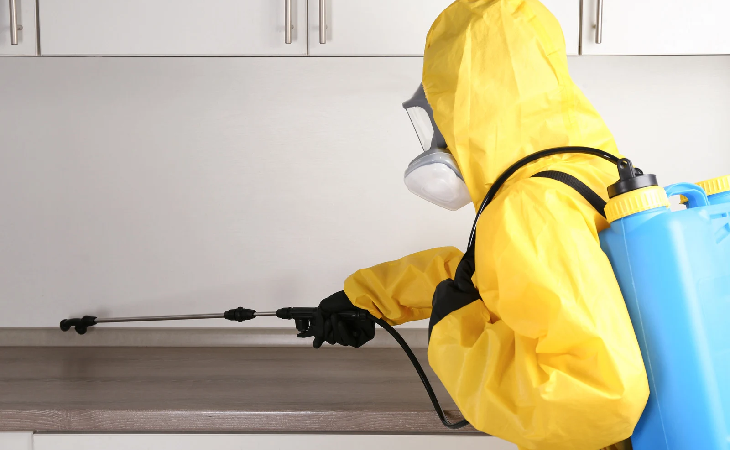 شركة إبادة حشرات مدينة نصر