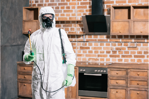 شركة مكافحة حشرات في التجمع