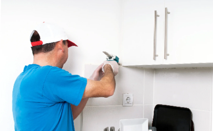 إبادة حشرات التجمع