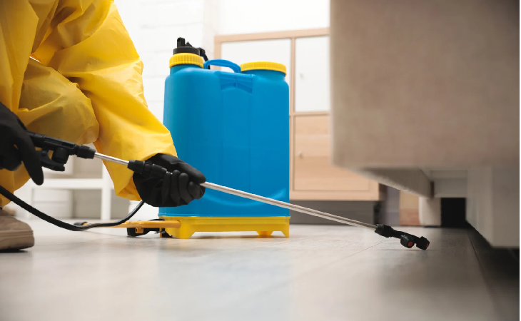 مكافحة الحشرات مدينة نصر