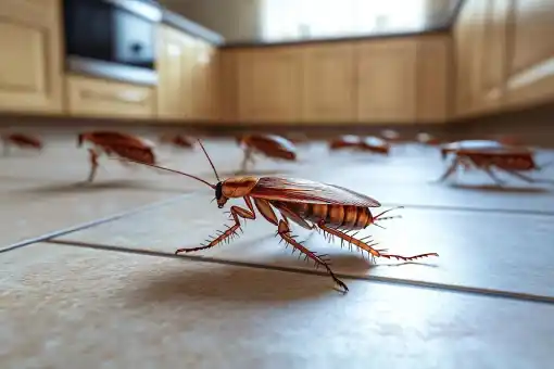 شركة رش الصراصير 10 طرق للتخلص من الحشرات الزاحفة