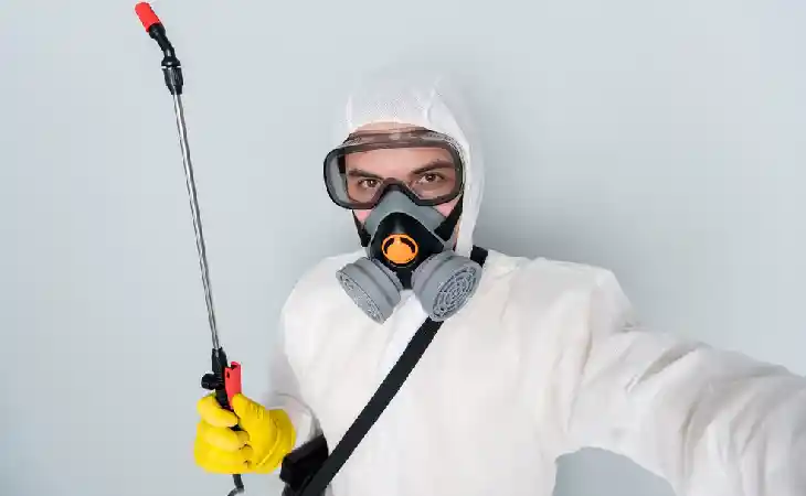 شركة رش سوس الخشب 10 طرق مبتكرة للتخلص من سوس الخشب