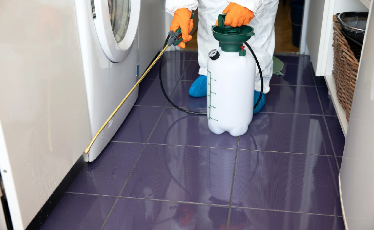 مكافحة البق مدينتي – ايجيبت الالمانية: 7 خطوات ذهبية لضمان منزل خالٍ من الحشرات نهائيًا