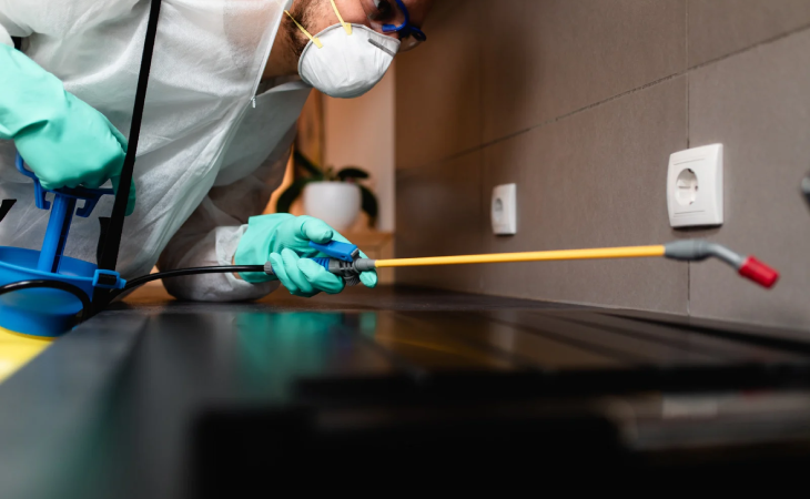 مكافحة البق في مدينتي &ndash; 5 طرق احترافية للقضاء على بق الفراش نهائيًا