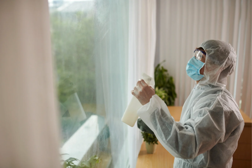 مكافحة الذباب في مدينتي: 6 خطوات فعالة للتخلص من الذباب في المنازل والمطابخ