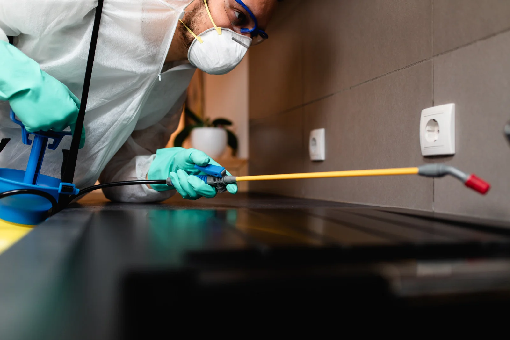 مكافحة الذباب في مدينتي: 6 خطوات فعالة للتخلص من الذباب في المنازل والمطابخ