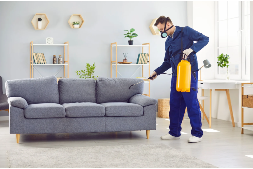 شركة مكافحة حشرات مدينة نصر &ndash; 4 طرق فعّالة لضمان بيئة نظيفة وآمنة من الحشرات