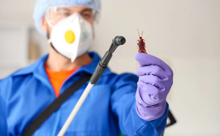 شركة مكافحة حشرات مدينة نصر – 4 طرق فعّالة لضمان بيئة نظيفة وآمنة من الحشرات