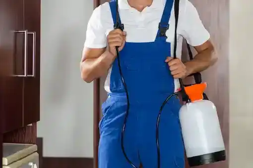 ابادة حشرات مدينة نصر: 10 خطوات علمية للقضاء النهائي على جميع الحشرات