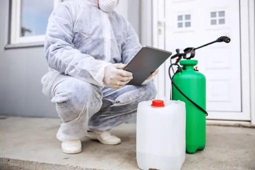 شركة رش حشرات مدينة نصر &ndash; 6 خطوات علمية تضمن القضاء على الصراصير والبق والفئران نهائيًا