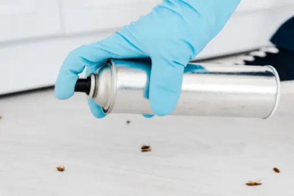 شركة مكافحة الصراصير 01050003433 وطرق التخلص من الصراصير بـ 3 طرق متنوعة