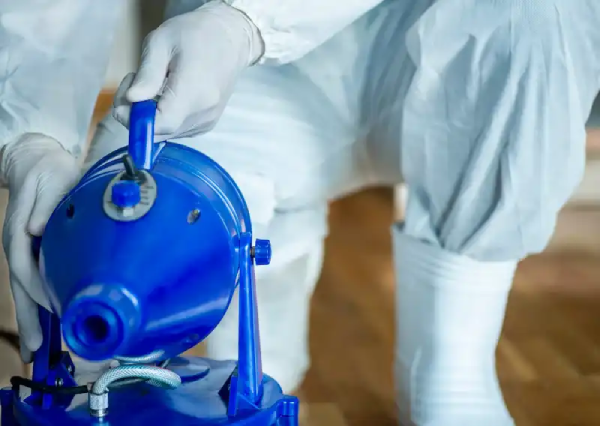 شركة ابادة حشرات المعادى: 10 حلول احترافية للتخلص من الصراصير والنمل الأبيض