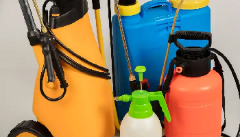 القضاء على البق بالبخار: 8 أماكن خفية يجب استهدافها لقتل الحشرة نهائيًا